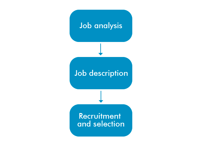 scope-and-function-of-hcm-software-in-business-3-openhrms