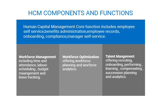 scope-and-function-of-hcm-software-in-business-1-openhrms