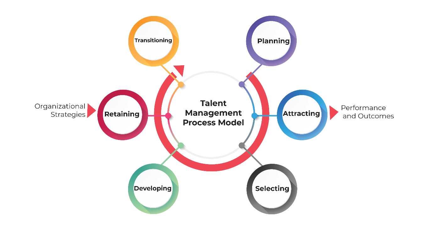 what-is-talent-management-process-and-why-is-it-different-from-hr-management